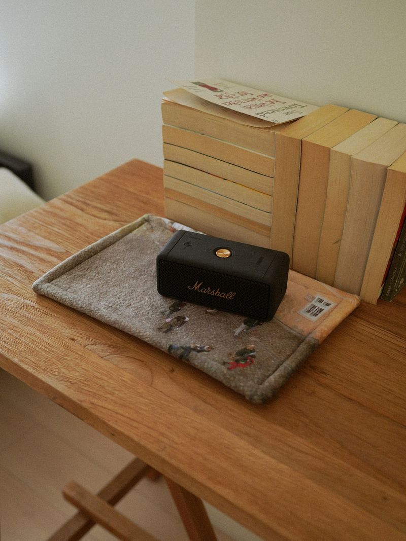winter desk rug - people