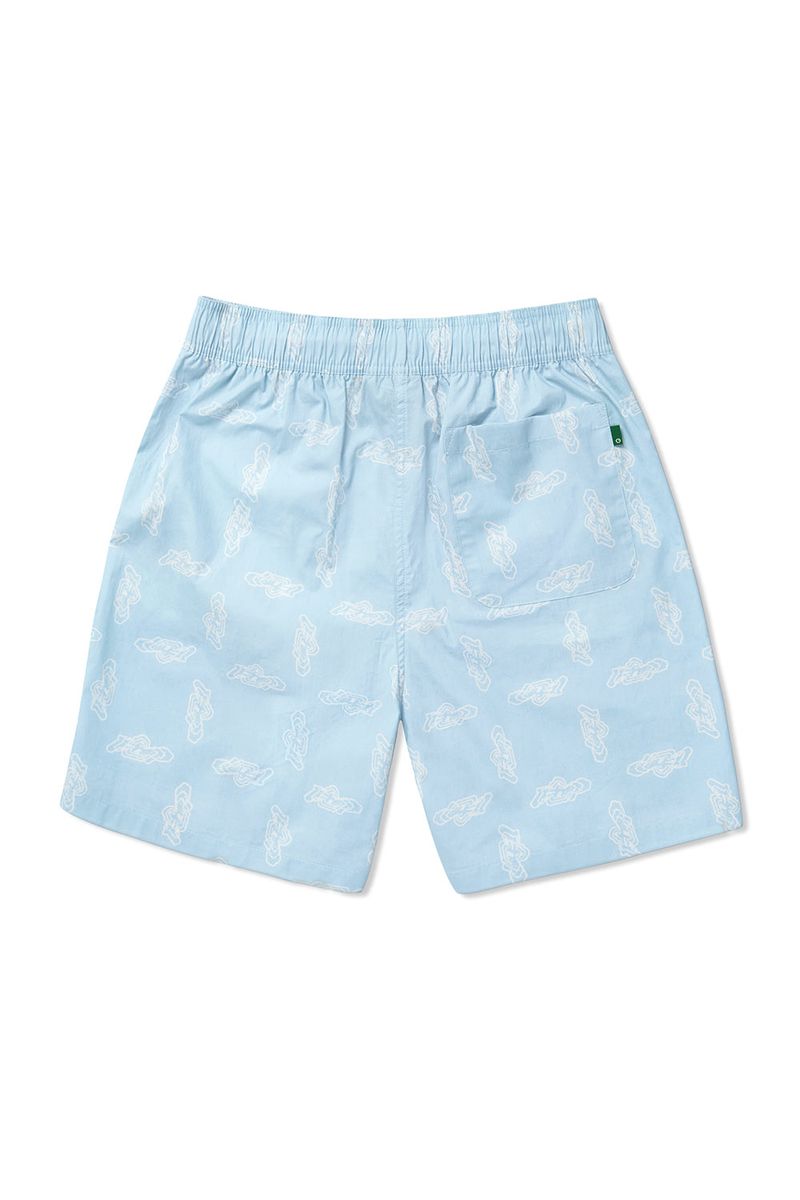 FLIP Trunk_Cloud Blue