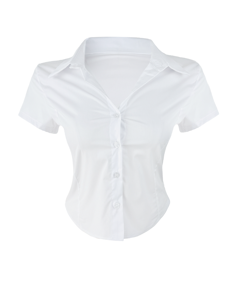 Classic Basic Slim Shirt (3color)