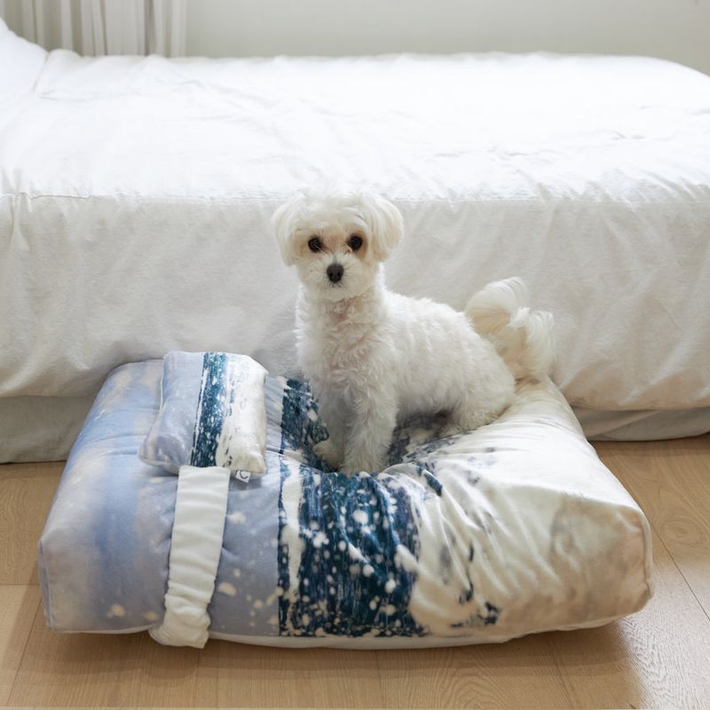 photozeniagoods（フォトゼニアグッズ）の「Jeju westcoast pet cushion + cover set（Smartphone Accessories）」