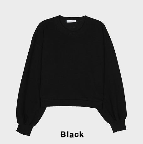 Plain Color Crop Sweatshirt