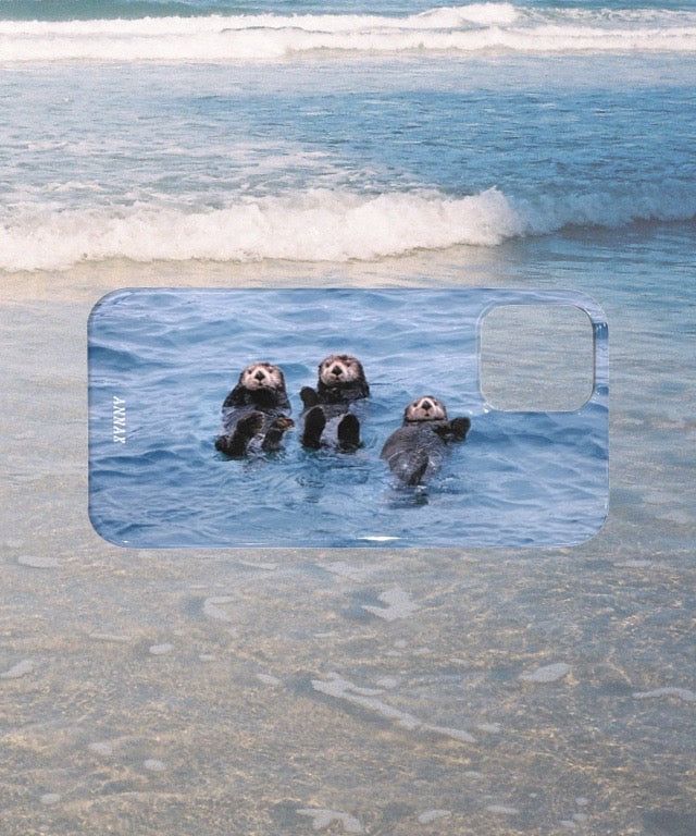 [sea otter triplets hard case]