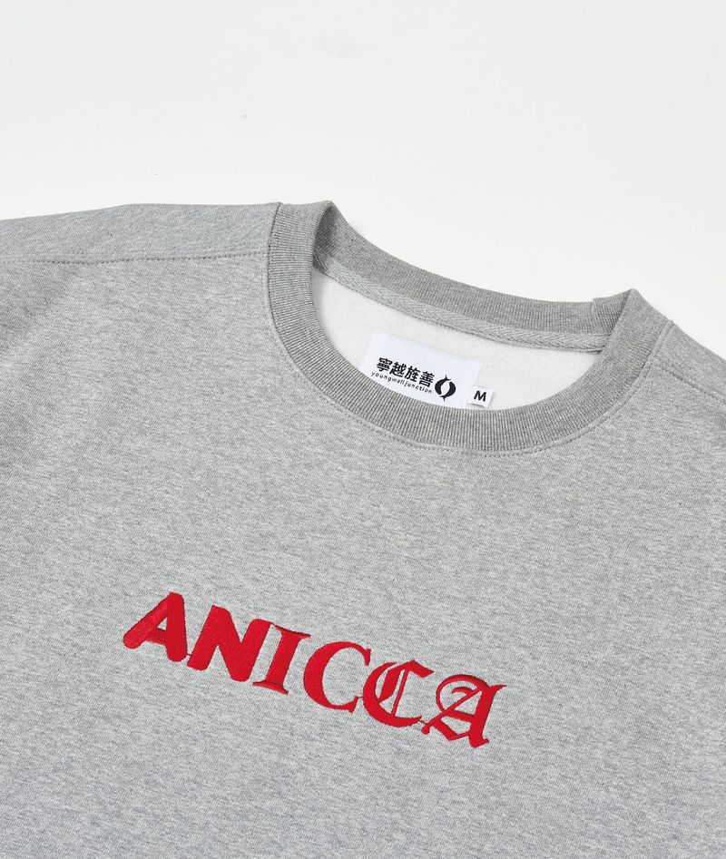 Tri Type ANICCA Sweatshirt - Gray