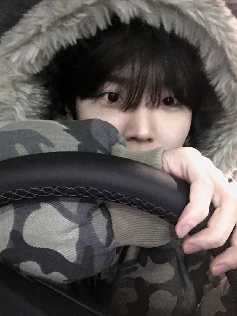 Jean Camo Raccoon Crop Puffer Jacket