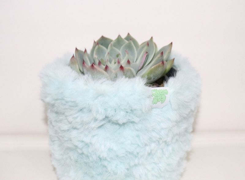EOHWORKS（エオワークス）の「icy blue multi basket（Interior）」
