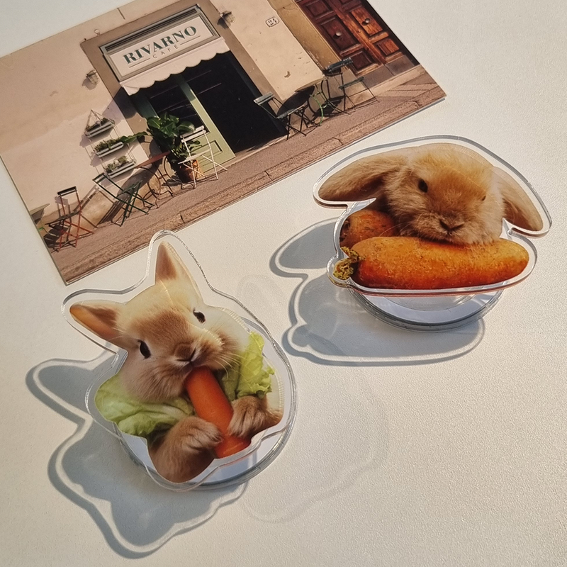 Carrot Rabbit smart tok(sticker type)