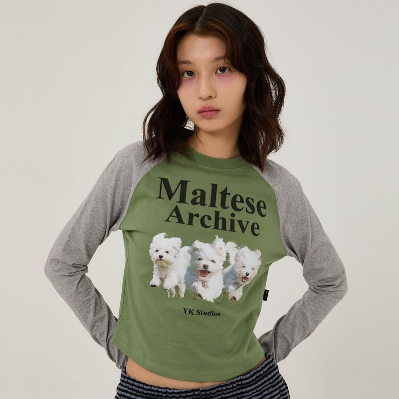 Maltese archive raglan long sleeve tshirts