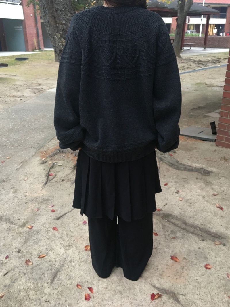 pleats skirt pants