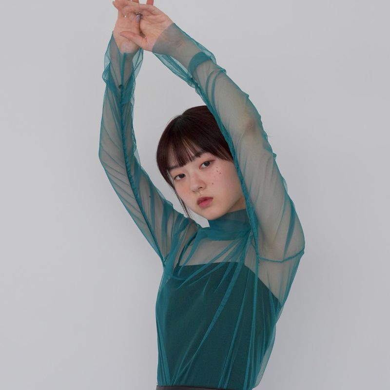 sheer mesh turtleneck
