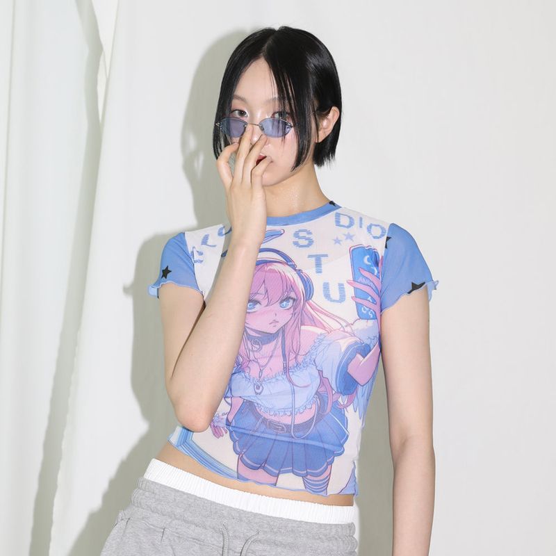 2D Angel Mesh Top