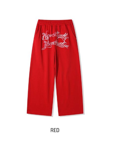 Zenith embroidered brushed wide pants