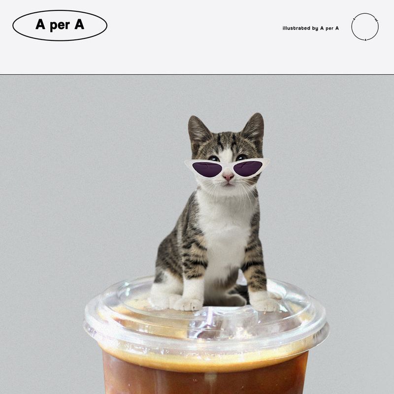 Cat Star Ice Flat White