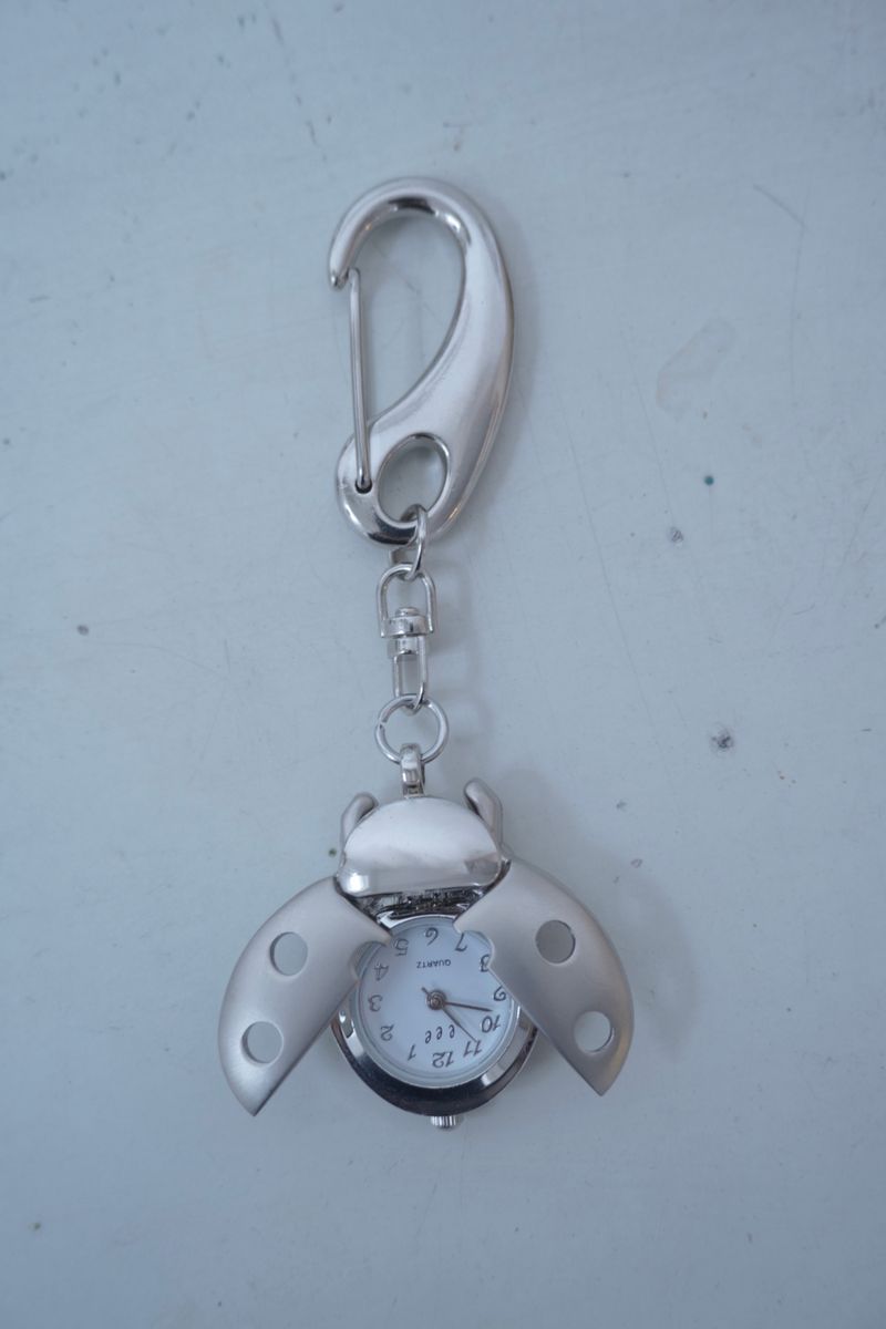 Ladybug Keyring