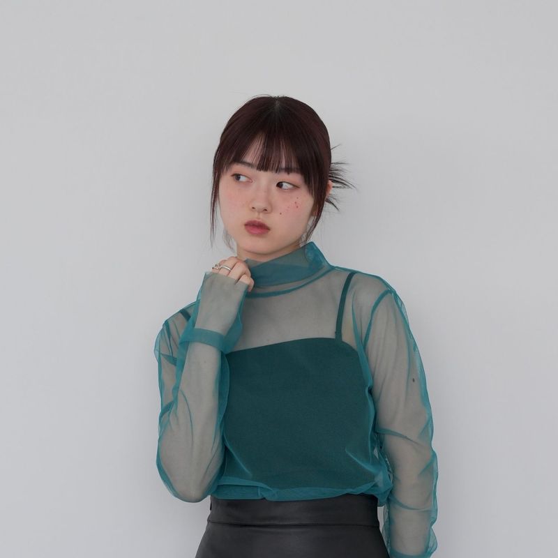 sheer mesh turtleneck