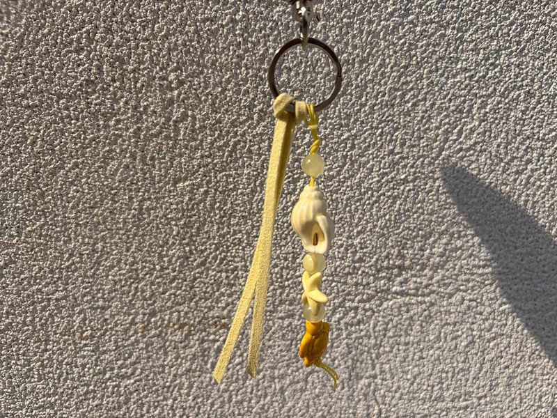 Piece of sea key chain