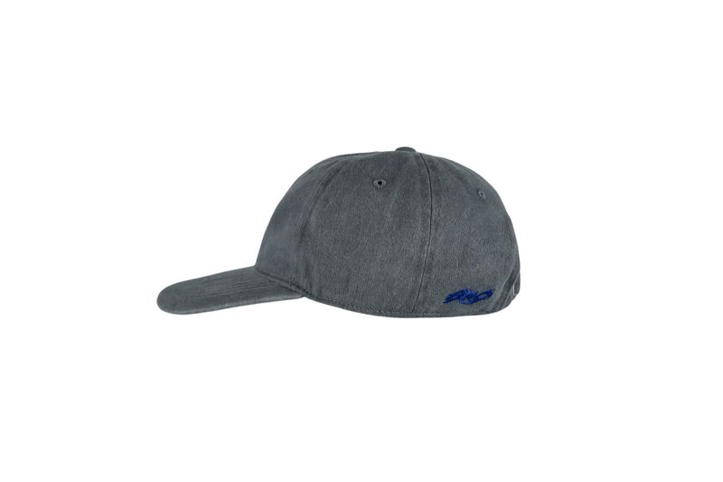 BC® LOGO WASHED CAP _ GRAY