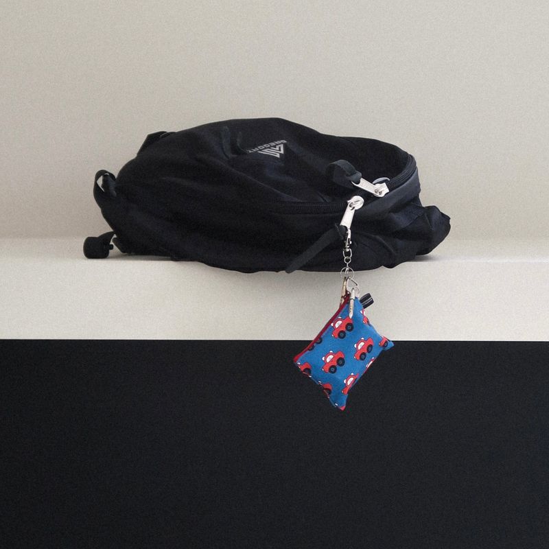 Find Me pattern keyring pouch(mini)