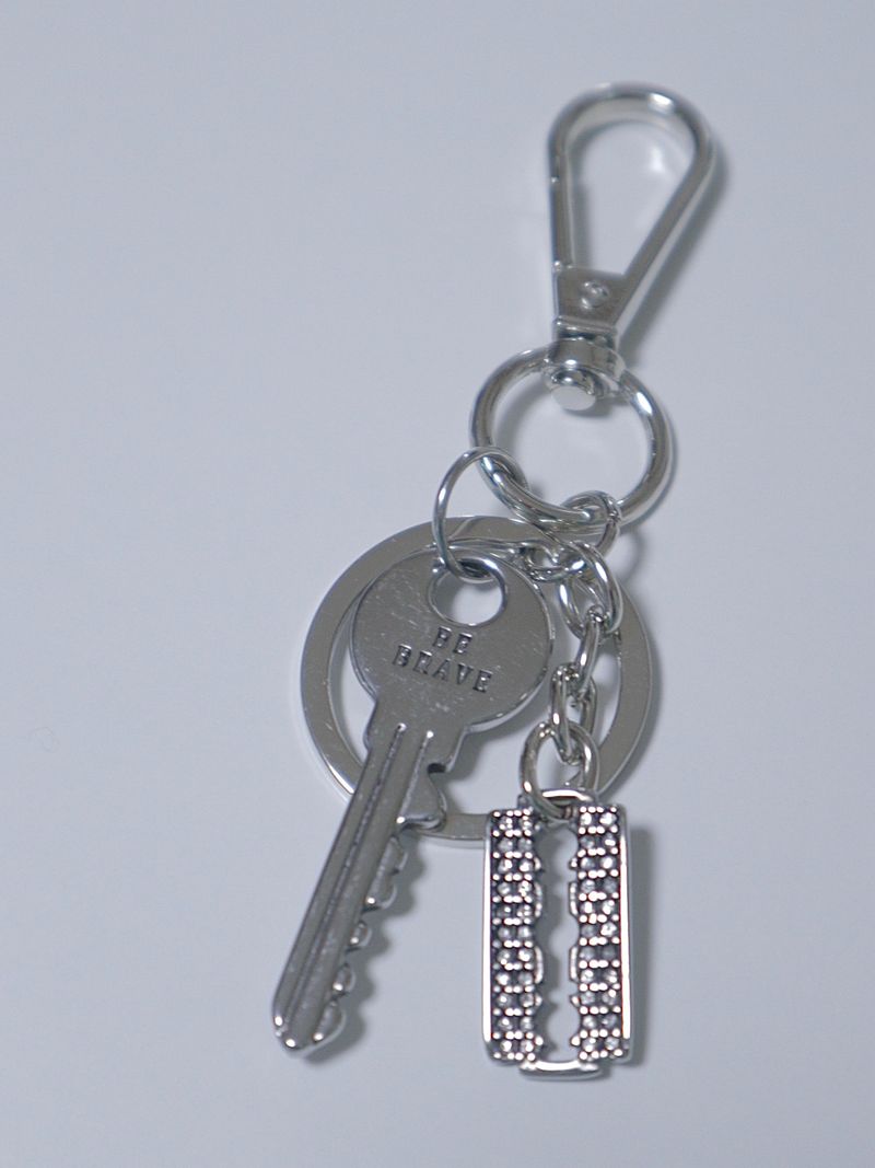 Brave Key Keyring