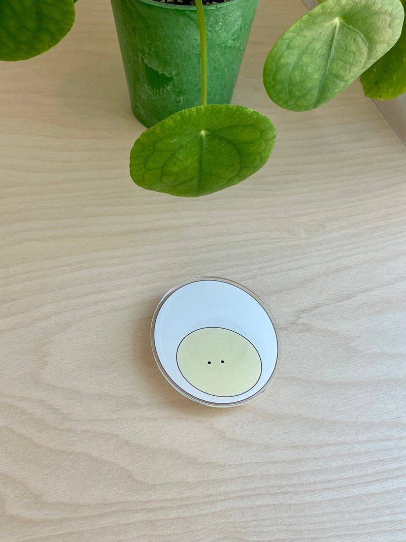 yeowhi（ヨウィ）の「[Magsafe tok] yeowhi エッググリップスマートトック（スマホグッズ/小物）」