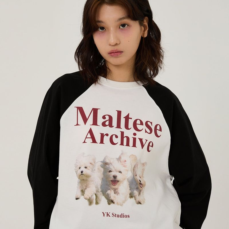 WaiKei(ワイケイ)の「Maltese archive raglan long sleeve tshirts(Tops)」