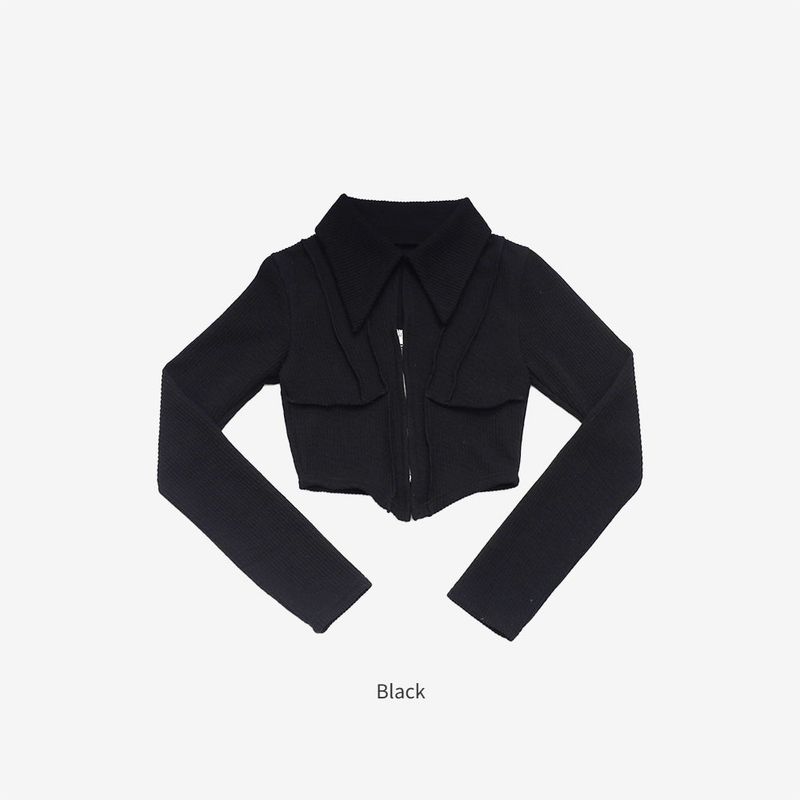 Fix Crop Hoodie Zip-Up