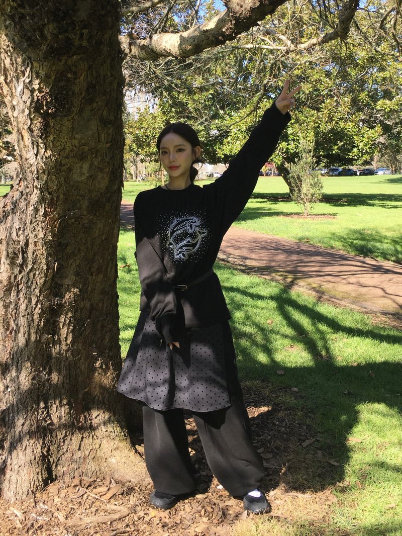 Hotfix Dolphin Loose Long Sleeve (2c)