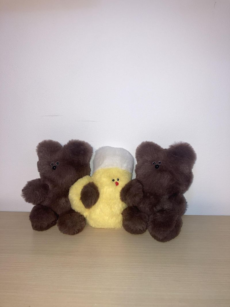 Ang bear
