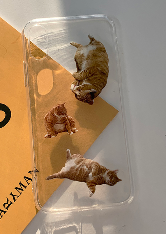 Street K cat case