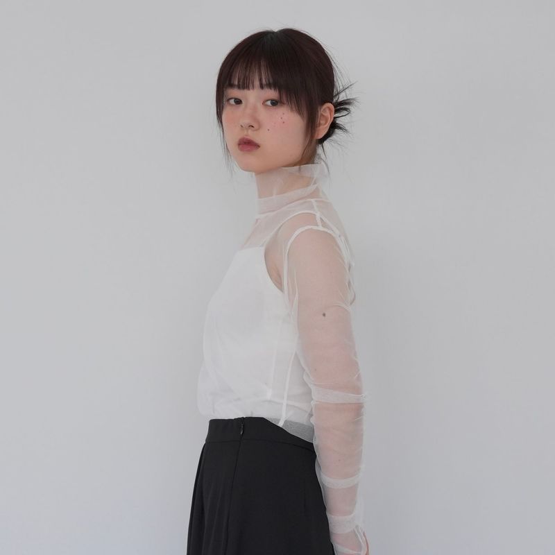sheer mesh turtleneck