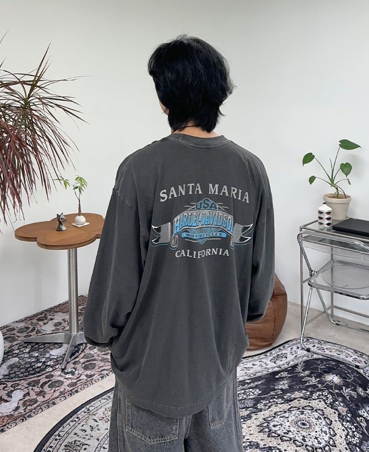 Vesid Pigment Long Sleeve