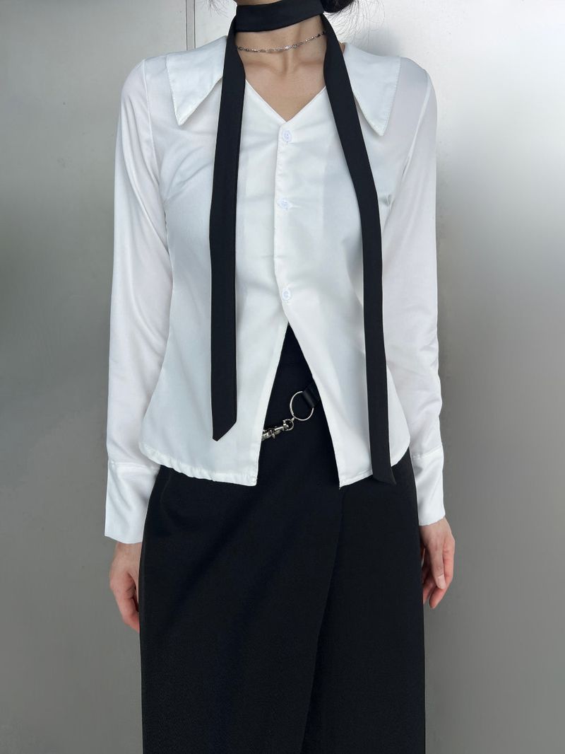 Opening V-neck basic silhouette long sleeve shirt (2 colors)