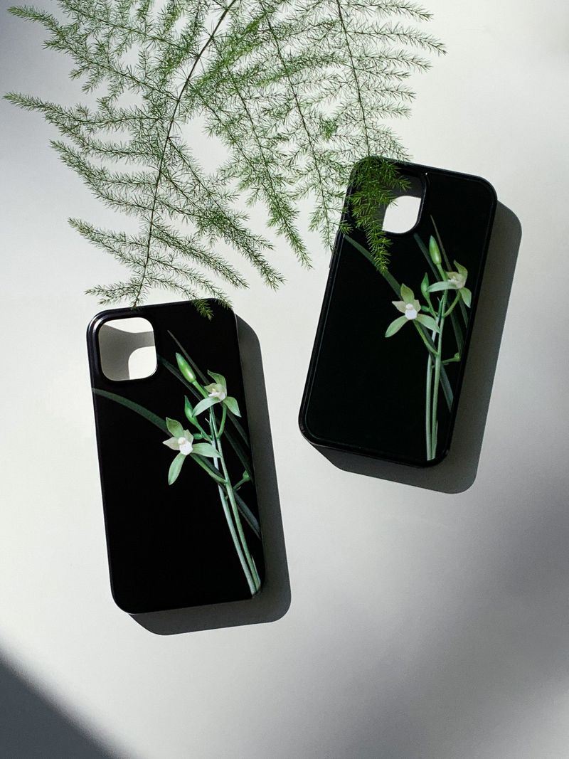 Ran (glossy hard case)