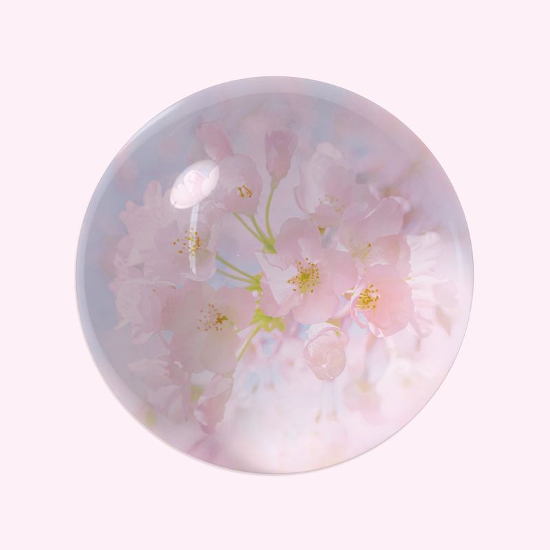 Cherry blossom glass paper weight