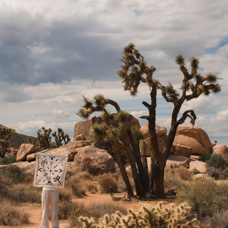 [Scarf] Joshua Tree - White