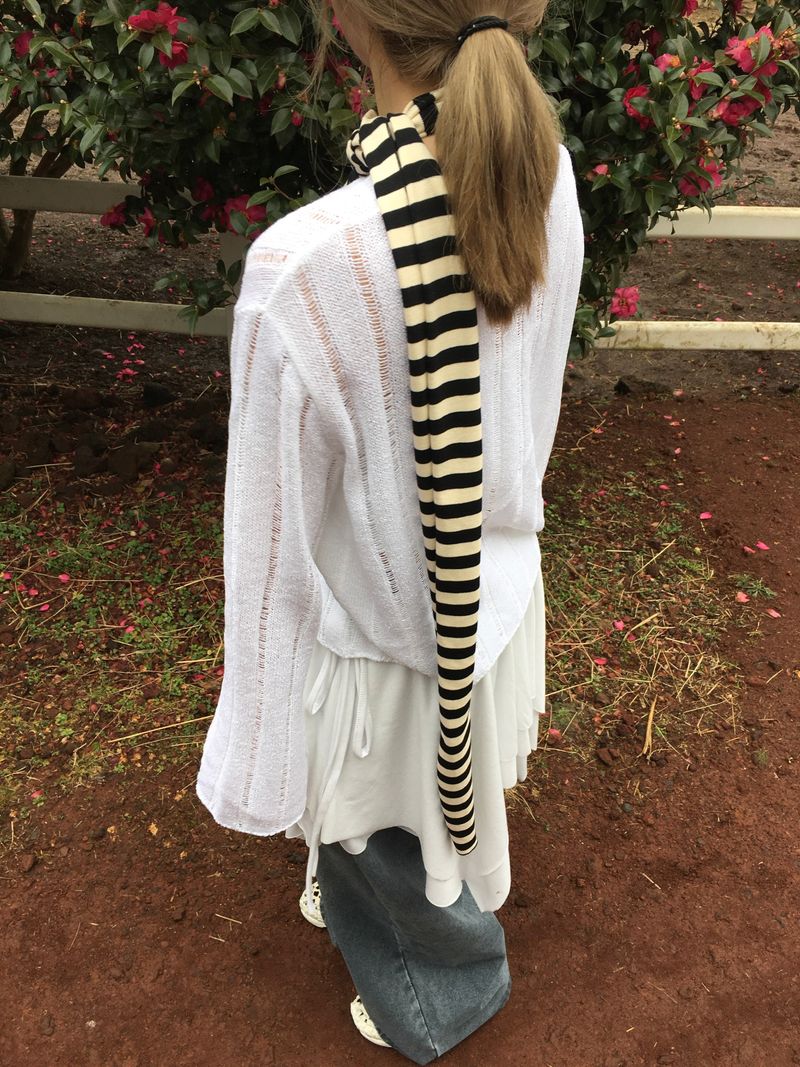 Peanut Stripe Muffler (3c)