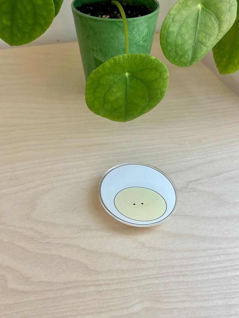[Magsafe tok] yeowhi egg griptok smart tok