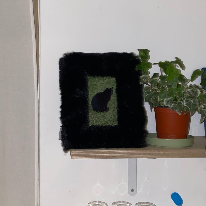 BLACK CAT FUR FRAME