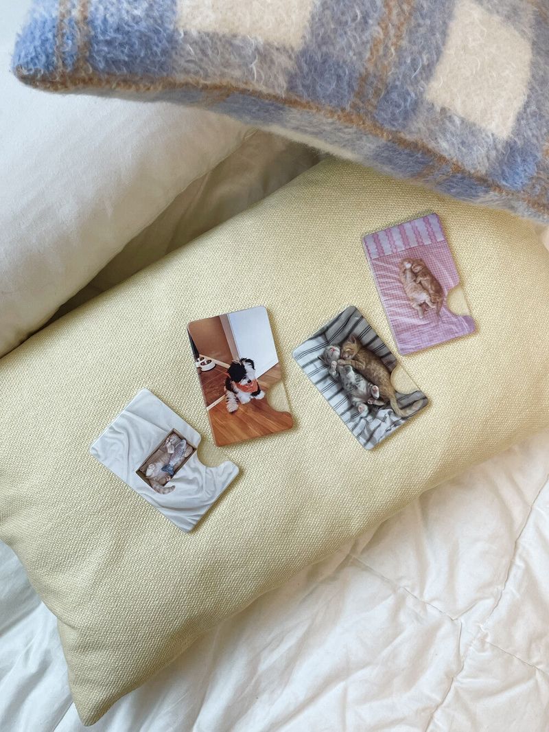 [snuggly buddies stripe magsafe cardslot]