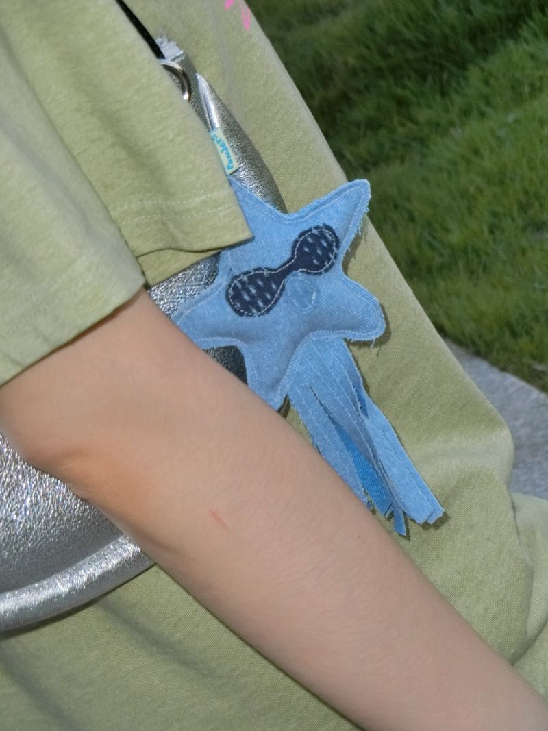 Blue Friends Keyring-star