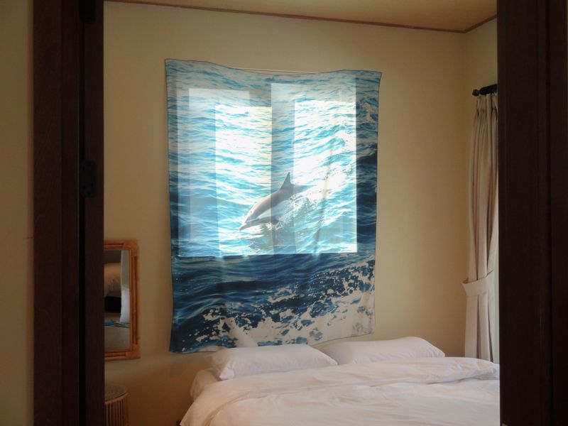 Dolphin towards Freedom, fabric poster