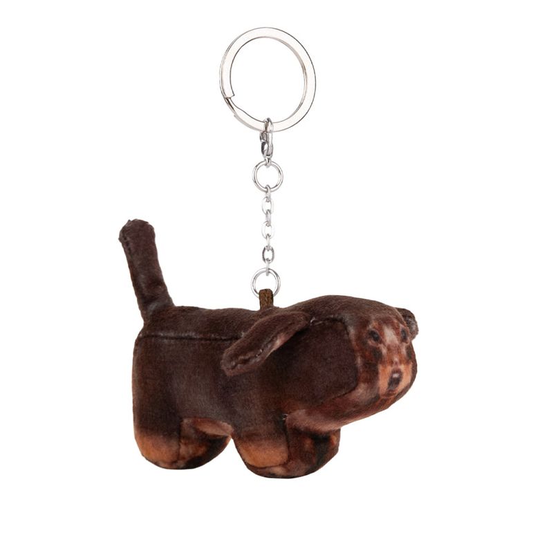 Tam, Dachshund