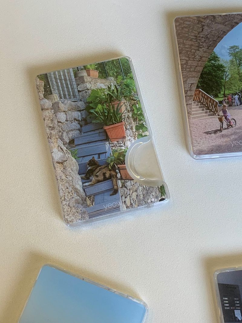 [Magsafe] cat on the steps in Europe cardslot case
