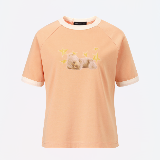 アートワークラグランショートスリーブTシャツ (サーモン)