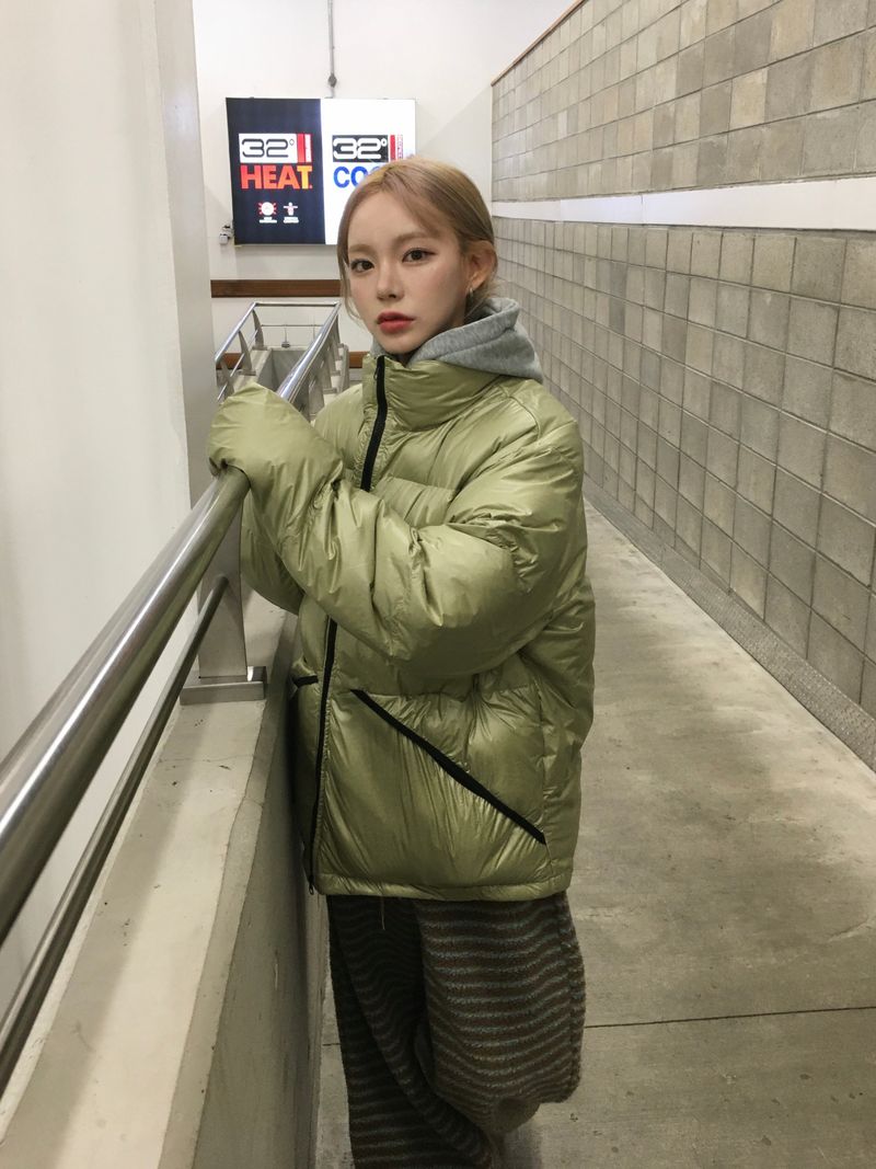 Arctic Glossy Puffer Short Padding (5c)