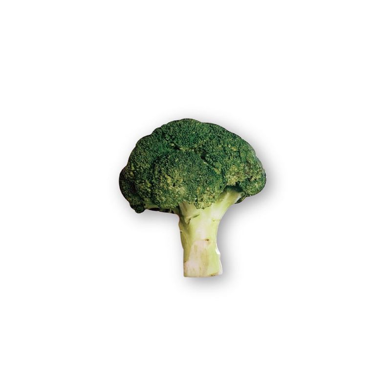 PHONO PHONO（フォノフォノ）の「BROCCOLI GRIP TOK（Smartphone Accessories）」