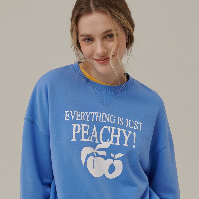 Between A and B(ビットウィーンエーアンドビー)の「WHITE PEACH PRINT SWEATSHIRT_BLUE(Tops)」