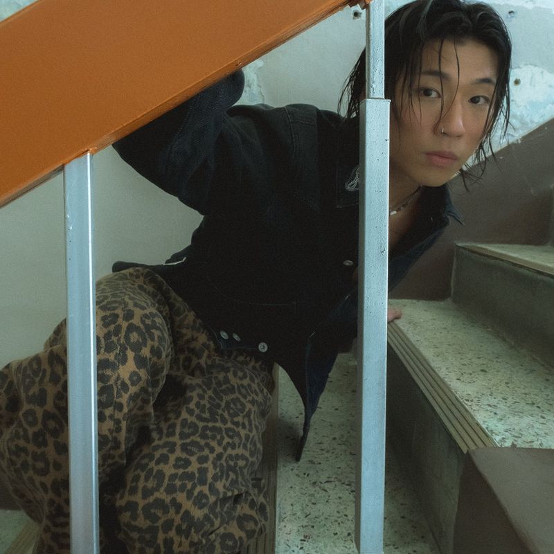 Leopard cotton twill pants / Beige