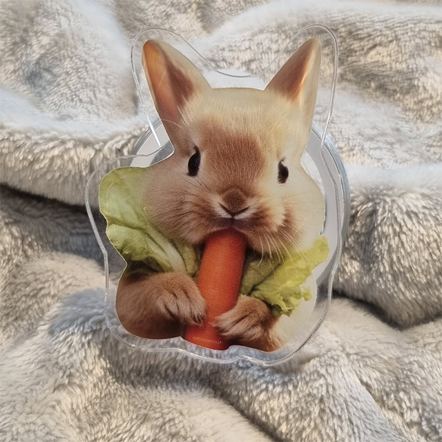 quattrocomma(クアトロコンマ)の「Carrot Rabbit magsafe smart tok(Smartphone Accessories)」