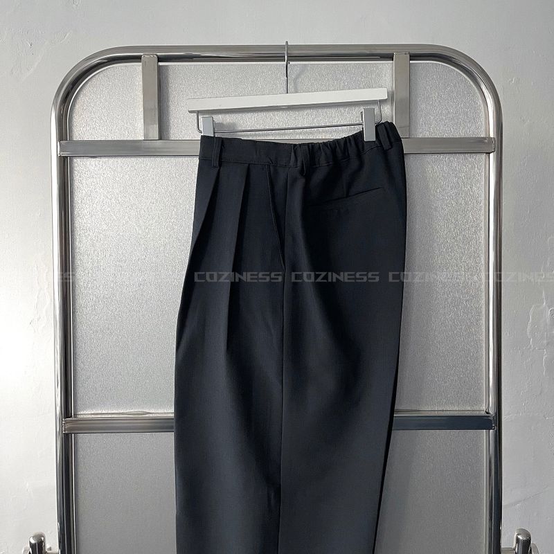 CR Camille Two-Tuck Wide Pants (2 colors)