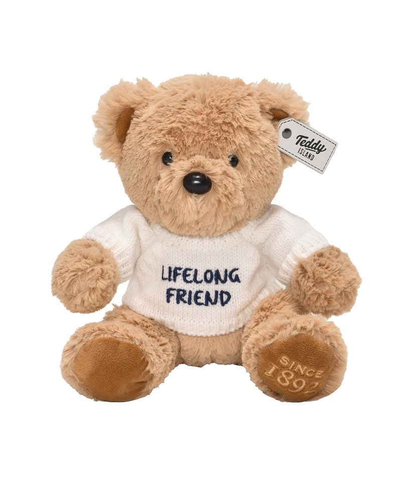 TEDDY ISLAND（テディアイランド）の「Message Teddybear [WHITE]（Toys/Key Holders）」